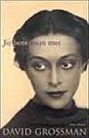 Jij bent mijn mes / Midprice - D. Grossman Jij bent mijn mes / Midprice - D. Grossman