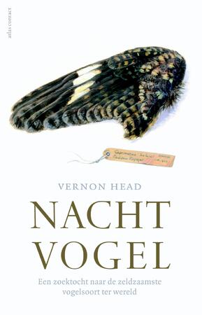 Nachtvogel - Vernon Head Nachtvogel - Vernon Head