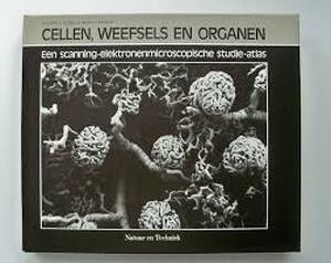 Cellen weefsels en organen - Kessel Cellen weefsels en organen - Kessel