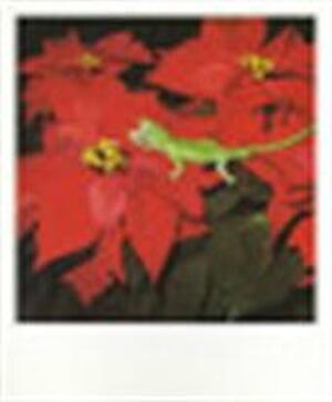 Nobuyoshi Araki polaeroid - Nobuyoshi Araki Nobuyoshi Araki polaeroid - Nobuyoshi Araki