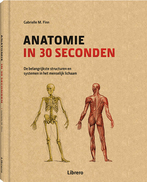 Anatomie in 30 seconden - Gabrielle M. Finn Anatomie in 30 seconden - Gabrielle M. Finn