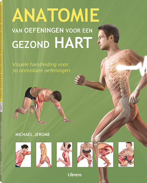 Anatomie van oefeningen voor een gezond hart - Anatomie van oefeningen voor een gezond hart -