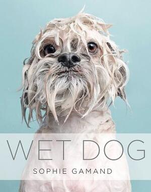 Wet Dog - Sophie Gamand Wet Dog - Sophie Gamand