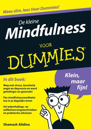 De kleine Mindfulness voor dummies - Shamash Alidina De kleine Mindfulness voor dummies - Shamash Alidina