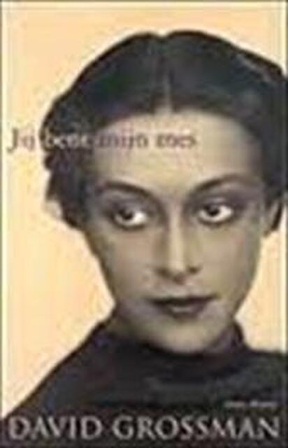 Jij bent mijn mes / Midprice - D. Grossman Jij bent mijn mes / Midprice - D. Grossman