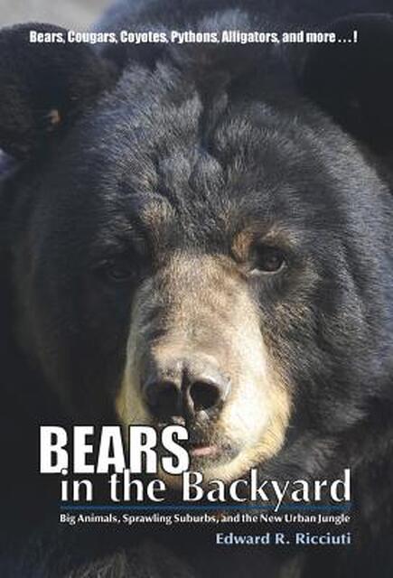 Bears in the Backyard - Edward R. Ricciuti Bears in the Backyard - Edward R. Ricciuti