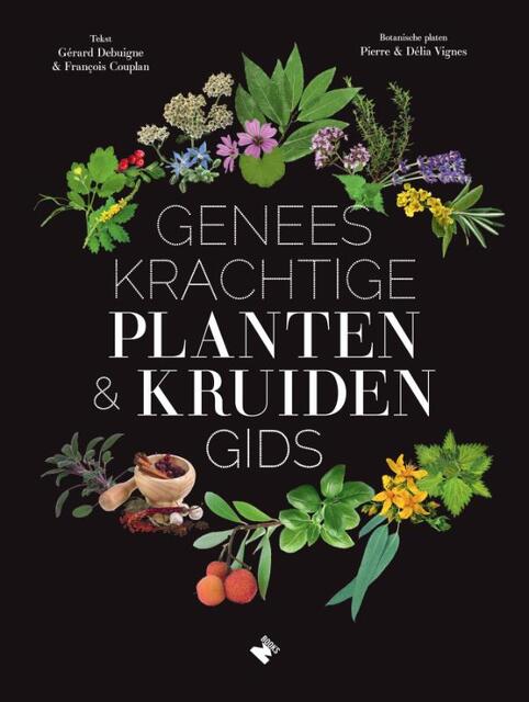 Geneeskrachtige planten- enkruidengids - Gérard Debuigne, François Couplan Geneeskrachtige planten- enkruidengids - Gérard Debuigne, François Couplan