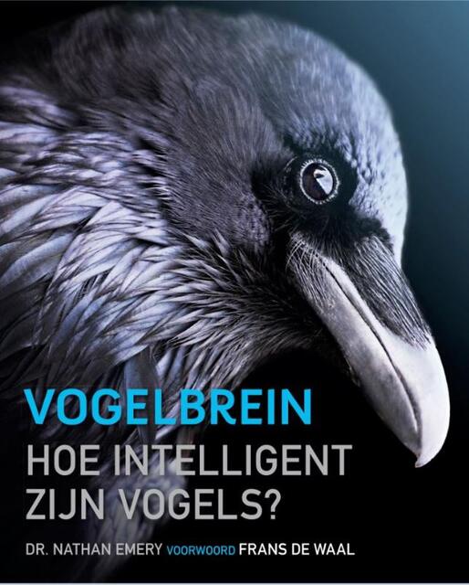 Het vogelbrein - Nathan Emery Het vogelbrein - Nathan Emery