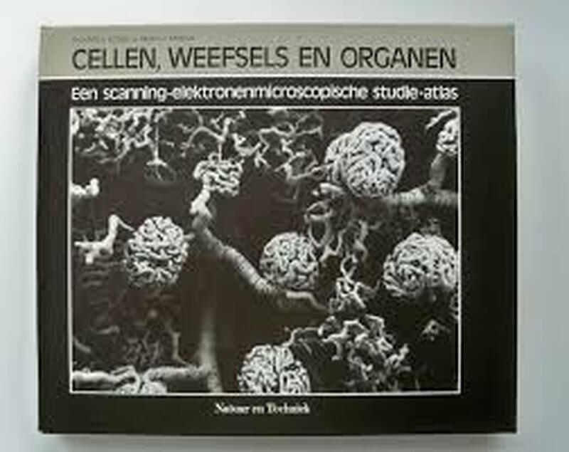 Cellen weefsels en organen - Kessel Cellen weefsels en organen - Kessel